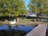 thm_DSC00008.jpg